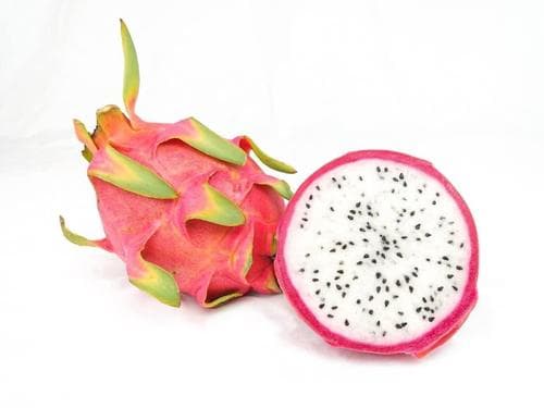 DRAGON FRUIT WHITE M