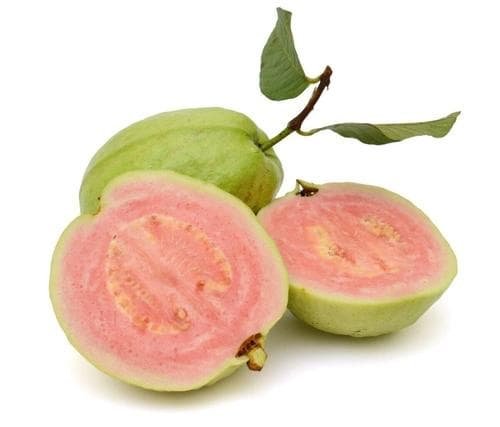 GUAVA PINK