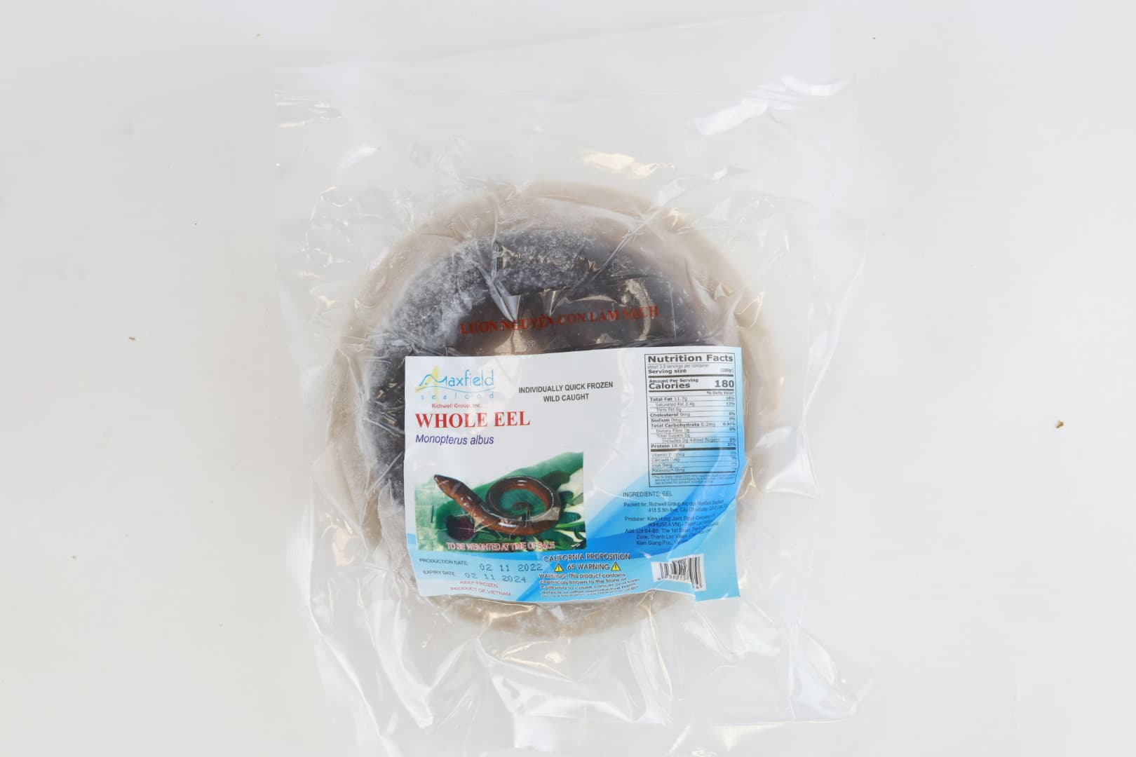 Frozen Eel