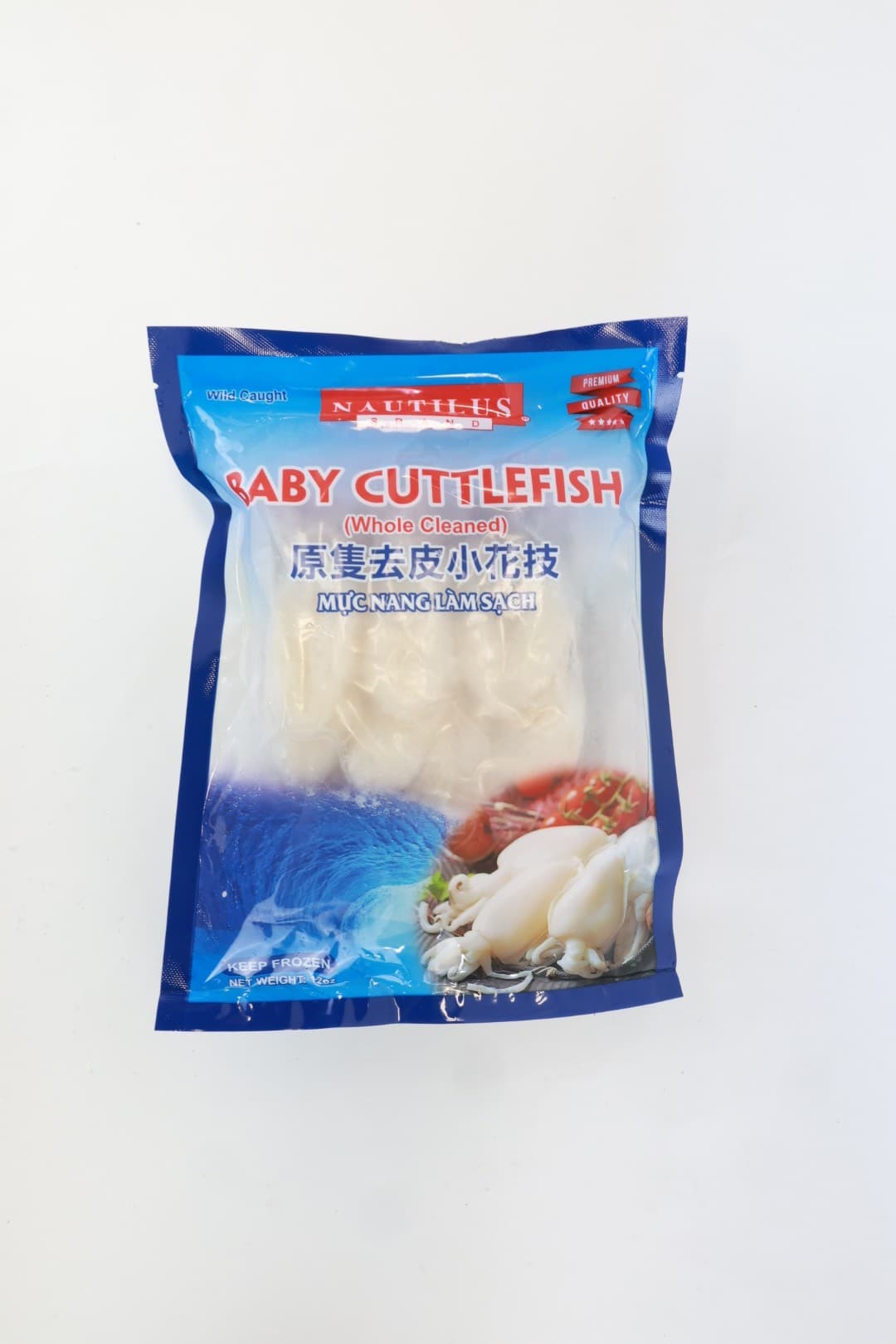 Frozen Baby Cuttlefish Nautilus
