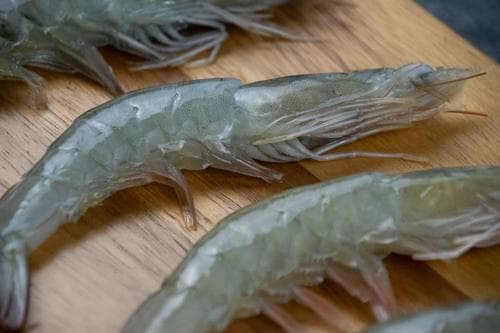 WHITE SHRIMP - 110/130 - 24LBS