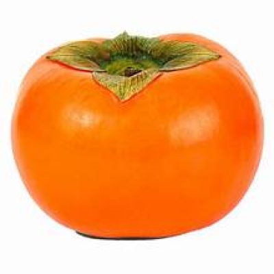 PERSIMMON SIZE M