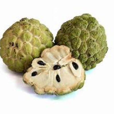 SUGAR APPLE